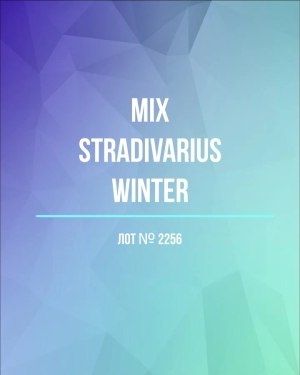 Купить STRADIVARIUS Winter mix#15 кг, ЛОТ №2256 оптом в Петрозаводске и Карелии