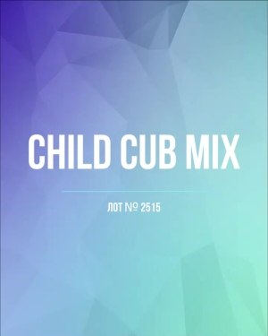 Купить CUBUS детский микс лето (Children CUBUS mix)#15 кг, ЛОТ №2515 оптом в Петрозаводске и Карелии