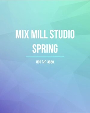 Купить MILL STUDIO Spring mix#15 кг, ЛОТ №3650 оптом в Петрозаводске и Карелии