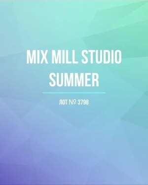 Купить MILL STUDIO Summer mix#15 кг, ЛОТ №3798 оптом в Петрозаводске и Карелии