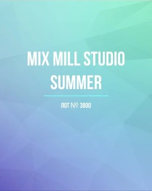 Купить MILL STUDIO Summer mix#15 кг, ЛОТ №3800 оптом в Петрозаводске и Карелии