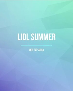 Купить LIDL Summer#20 кг, ЛОТ №4003 оптом в Петрозаводске и Карелии