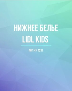Купить Нижнее белье LIDL Kids#5 кг, ЛОТ №4231 оптом в Петрозаводске и Карелии