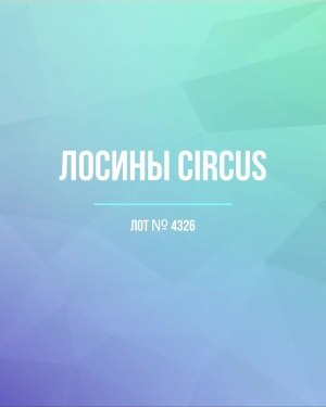Купить Лосины CIRCUS #6,2 кг, ЛОТ №4326 оптом в Петрозаводске и Карелии