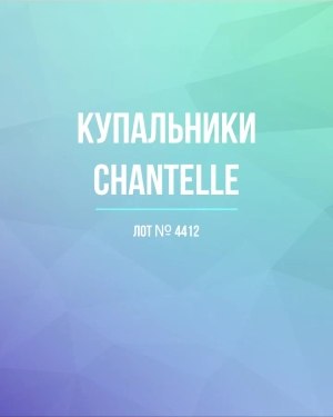 Купить Купальники Chantelle#23 шт, ЛОТ №4412 оптом в Петрозаводске и Карелии
