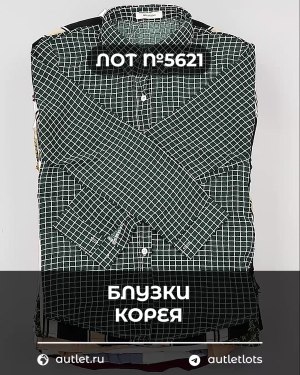 Купить Блузки Корея#20 шт, ЛОТ №5621 оптом в Петрозаводске и Карелии