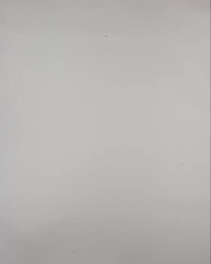 Фотография  447 - DK, Bestseller Summer mix#50 кг, ЛОТ №6186 оптом в Петрозаводске и Карелии