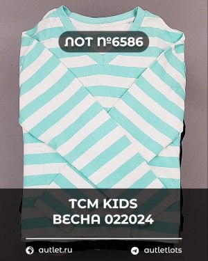Купить TCM Kids весна 022024#7 кг, ЛОТ №6586 оптом в Петрозаводске и Карелии