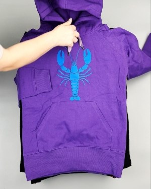 Фотография  653 - Толстовки м/ж (Sweat Tops)#20 кг, ЛОТ №7431 оптом в Петрозаводске и Карелии