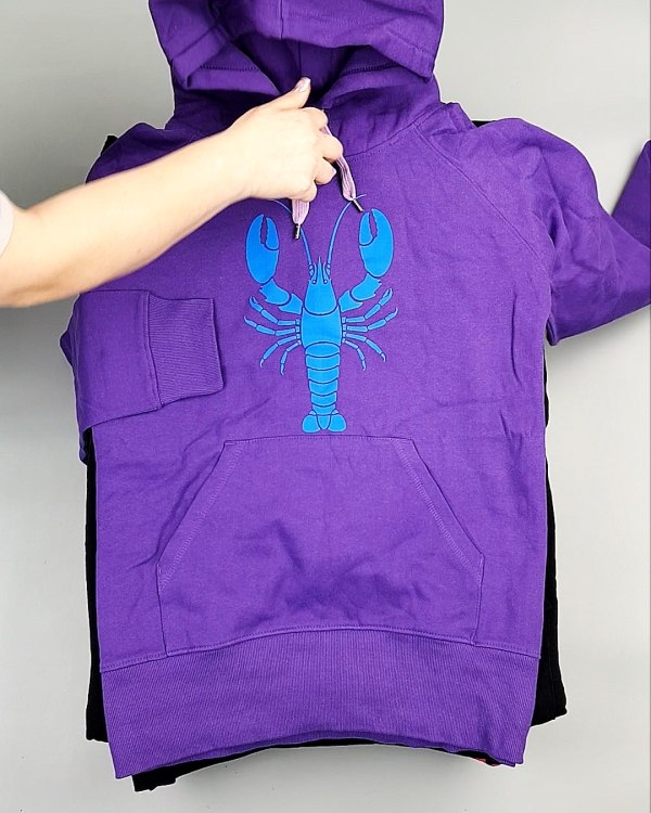 Фотография  879 - Толстовки м/ж (Sweat Tops)#20 кг, ЛОТ №7431 оптом в Петрозаводске и Карелии