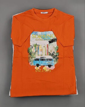 Купить Футболки мужские C-3141 (MEN T-shirt Sorbino) #4,7 кг, ЛОТ №8833 оптом в Петрозаводске и Карелии